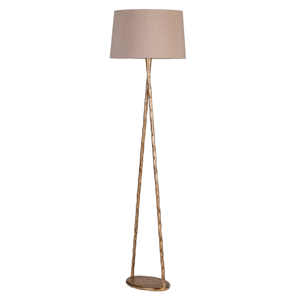 Nethercourt Hammered Iron Floor Lamp with Shade