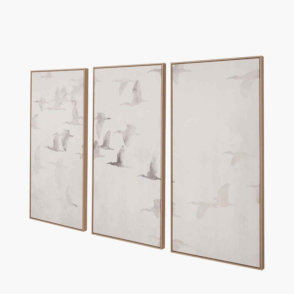 S/3 Natural and White Birds Canvases with Natural Frames