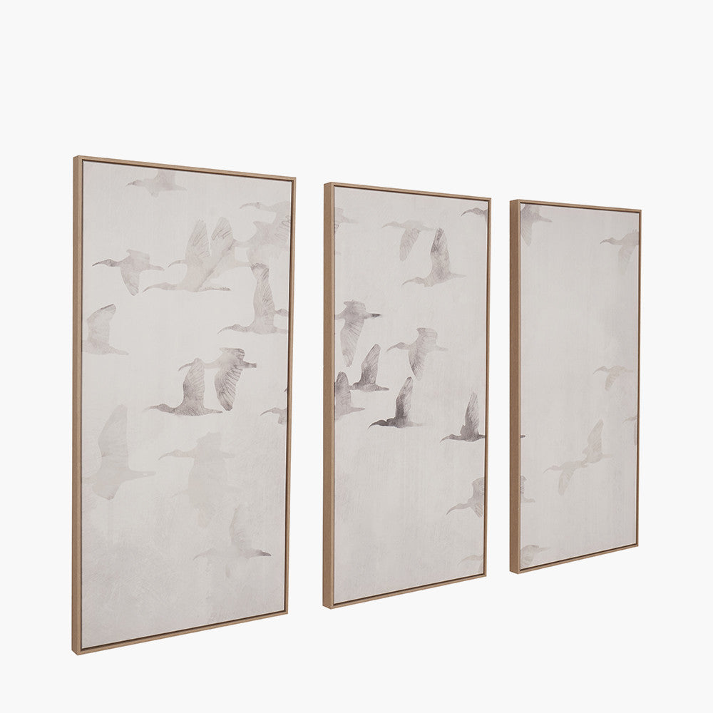 S/3 Natural and White Birds Canvases with Natural Frames