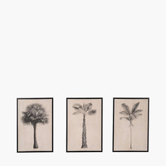 S/3 Natural and Black Palm Tree Print Canvases with Black Frames