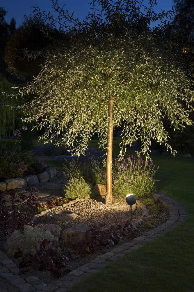 Lecce Spot Light Black High Power LED, 4W 240V