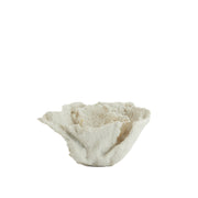 Coral Ornament - Cream