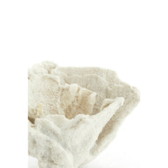 Coral Ornament - Cream