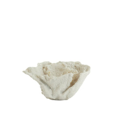 Coral Ornament - Cream