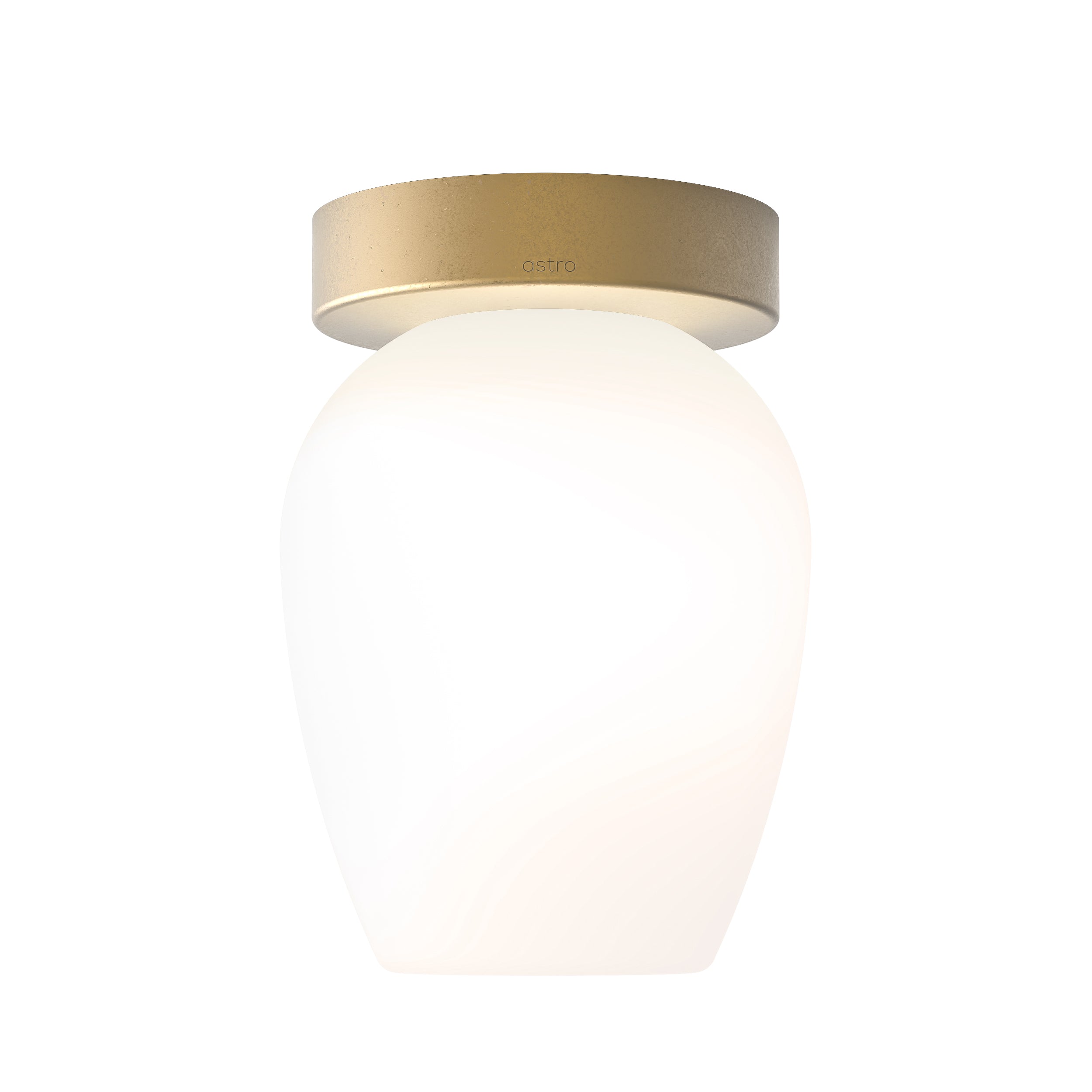 Tacoma Tulip Glass