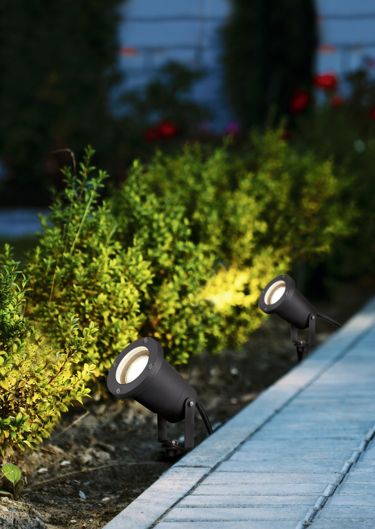 Ubangi Spike Light