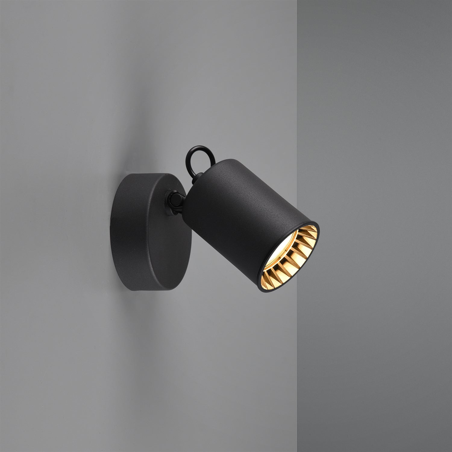 Pago Ceiling Spotlight - Black
