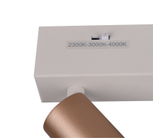 Ambala Spotlight- Various Finishes