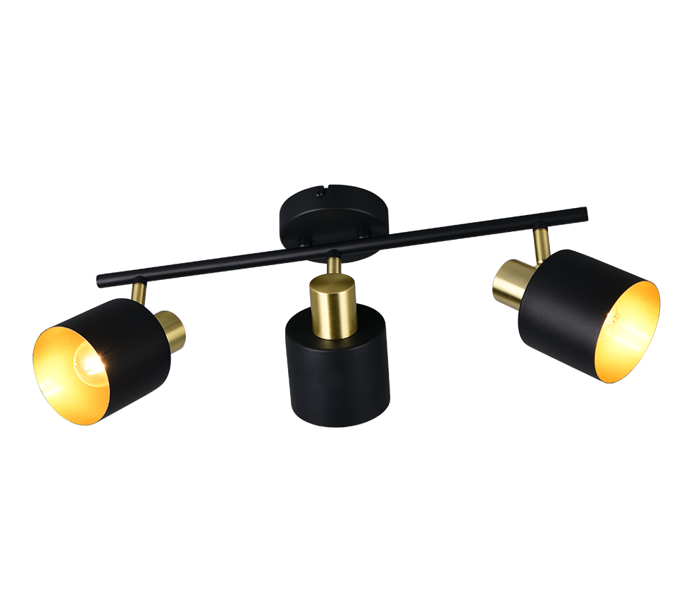 Eva 2/3 Spotlights