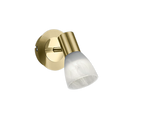 Levisto Wall Spotlight - Various Colours