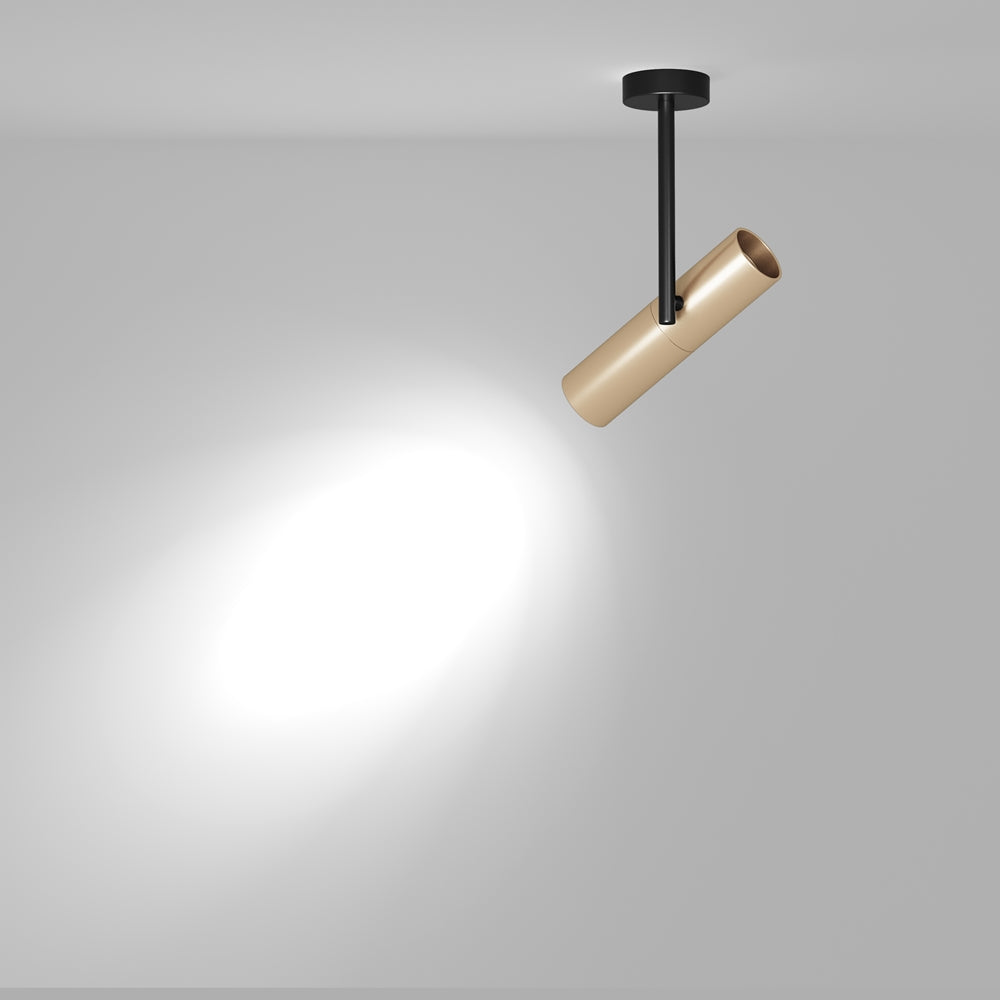Ceiling lamp Elti Black/Gold/White - Finish