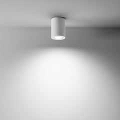 Ceiling Flush Light Atom Black/White - Finish 