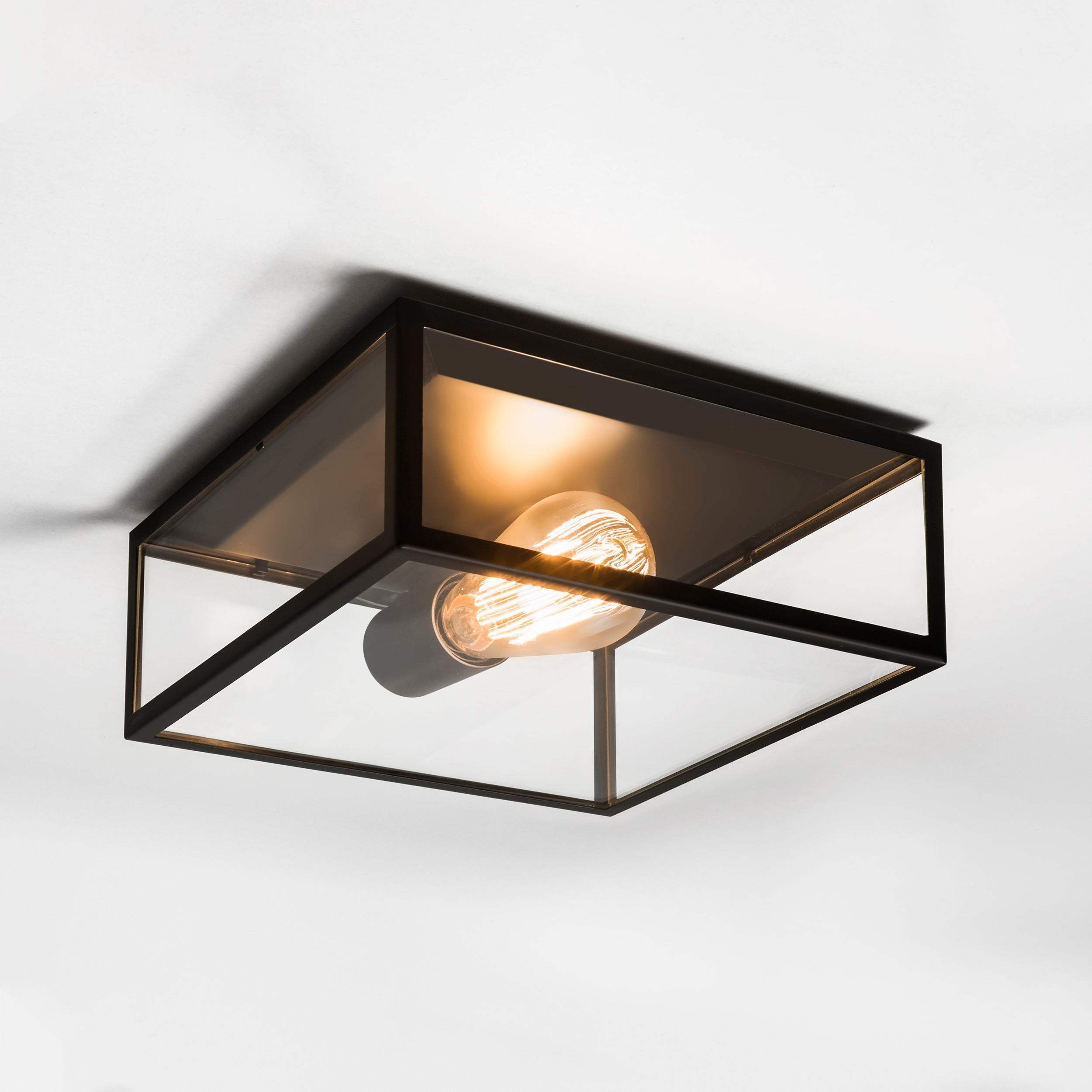 Bronte Outdoor Ceiling Light