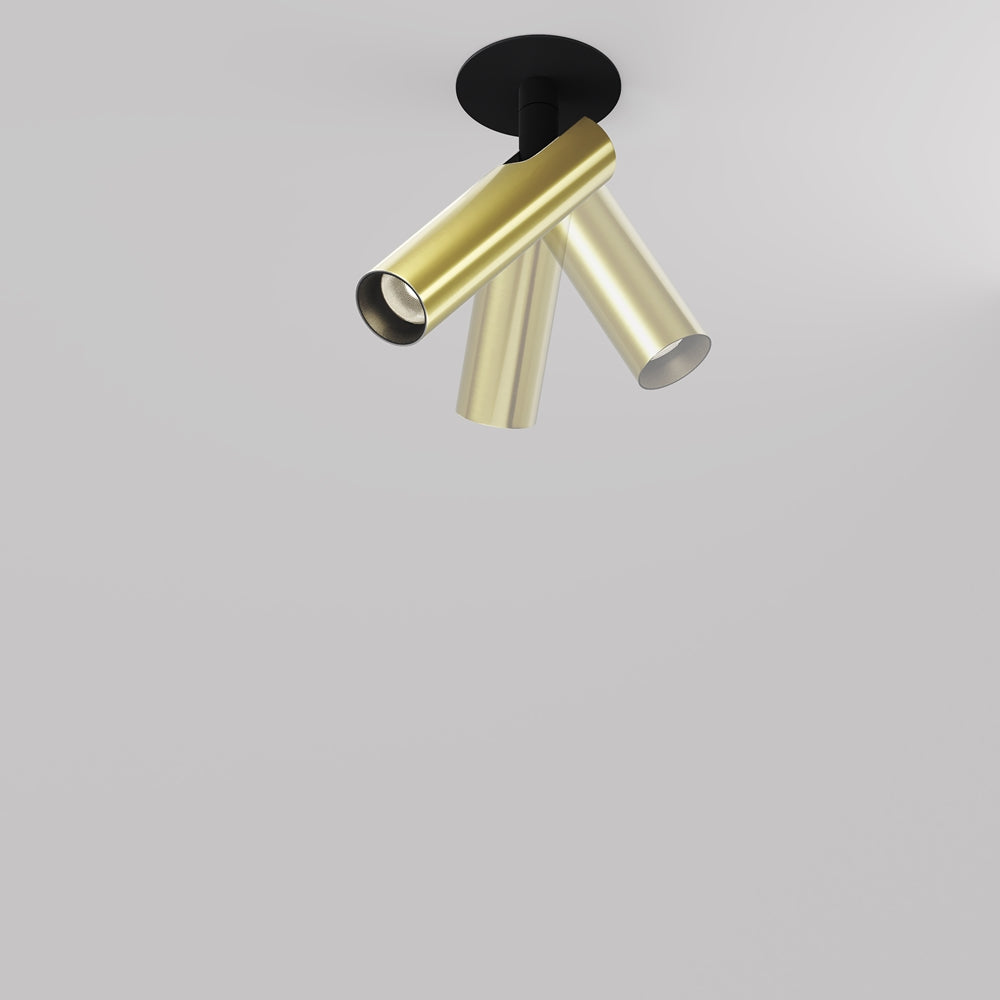 Focus T Downlight- Various Finishes