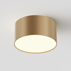 Zon Ceiling  Spotlight