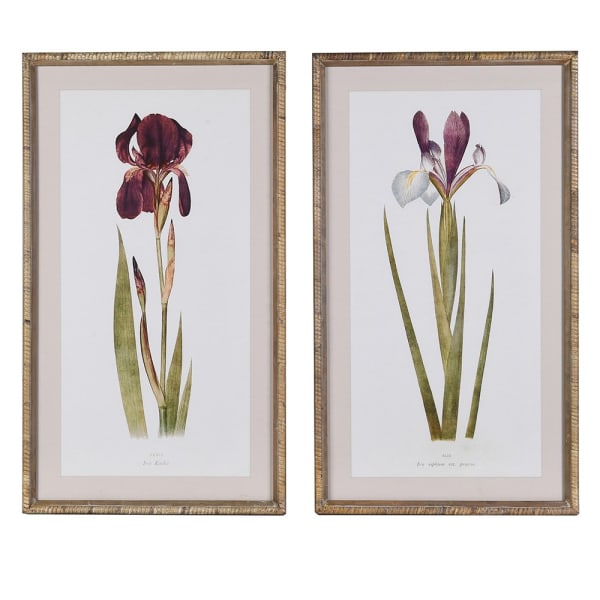 Set of 2 Iris Wall Art - Christmas Gift