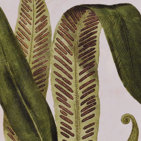 Perugino Mother of Tongue Wall Art- Christmas Gift