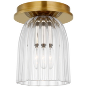 Asalea 5" Solitaire Flush Mount - Brass/Nickel