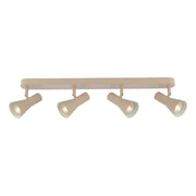 Arnel 4 Light Bar Spotlight- Satin Taupe Finish