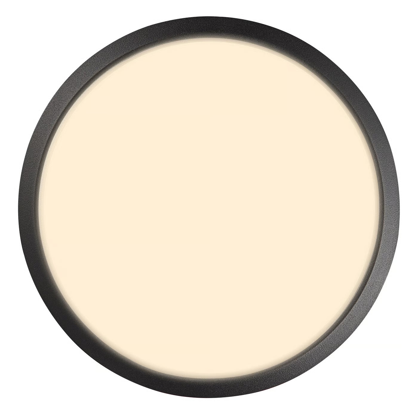 Ava Smart Ceiling/ Wall light- Black/ Grey Finish