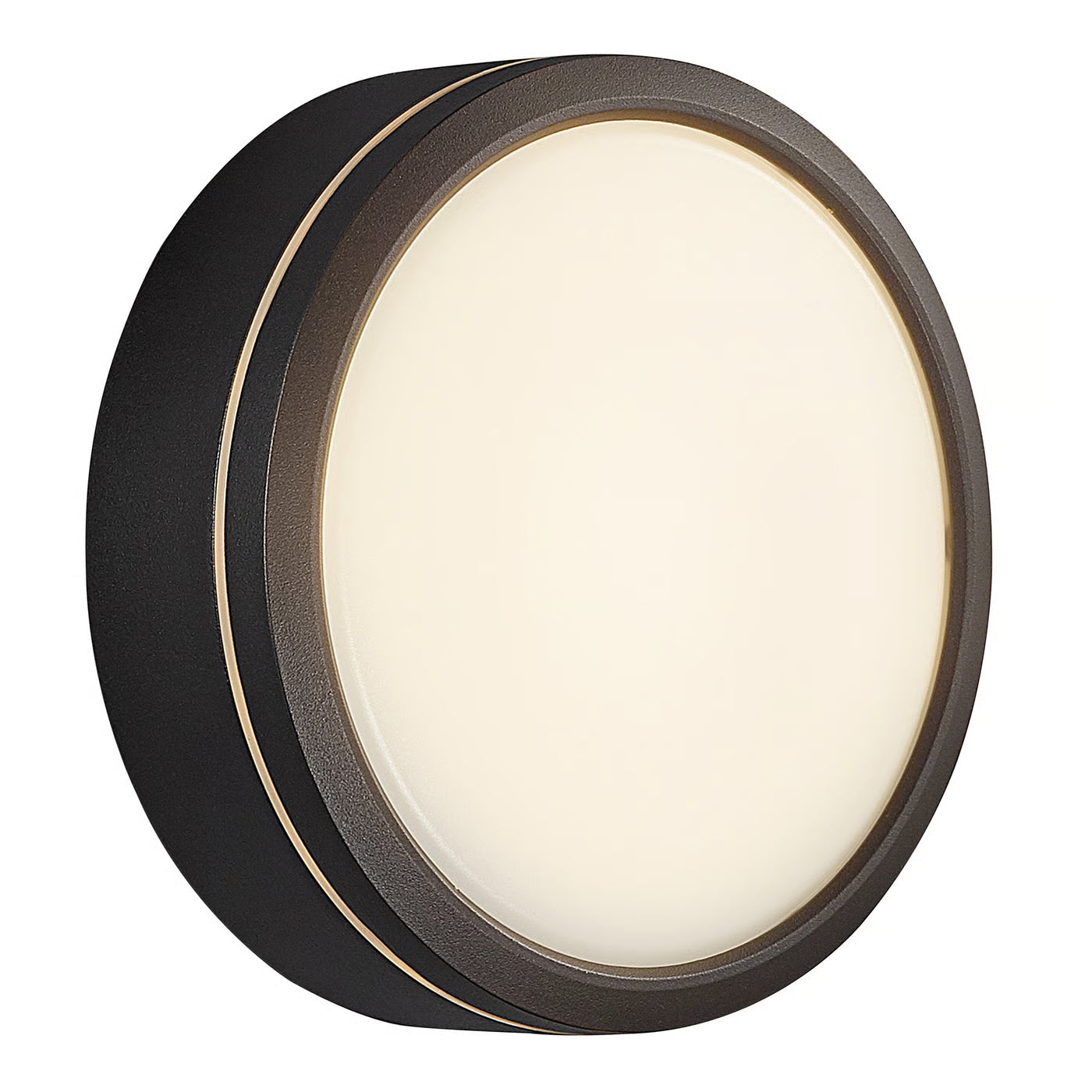 Ava Smart Ceiling/ Wall light- Black/ Grey Finish