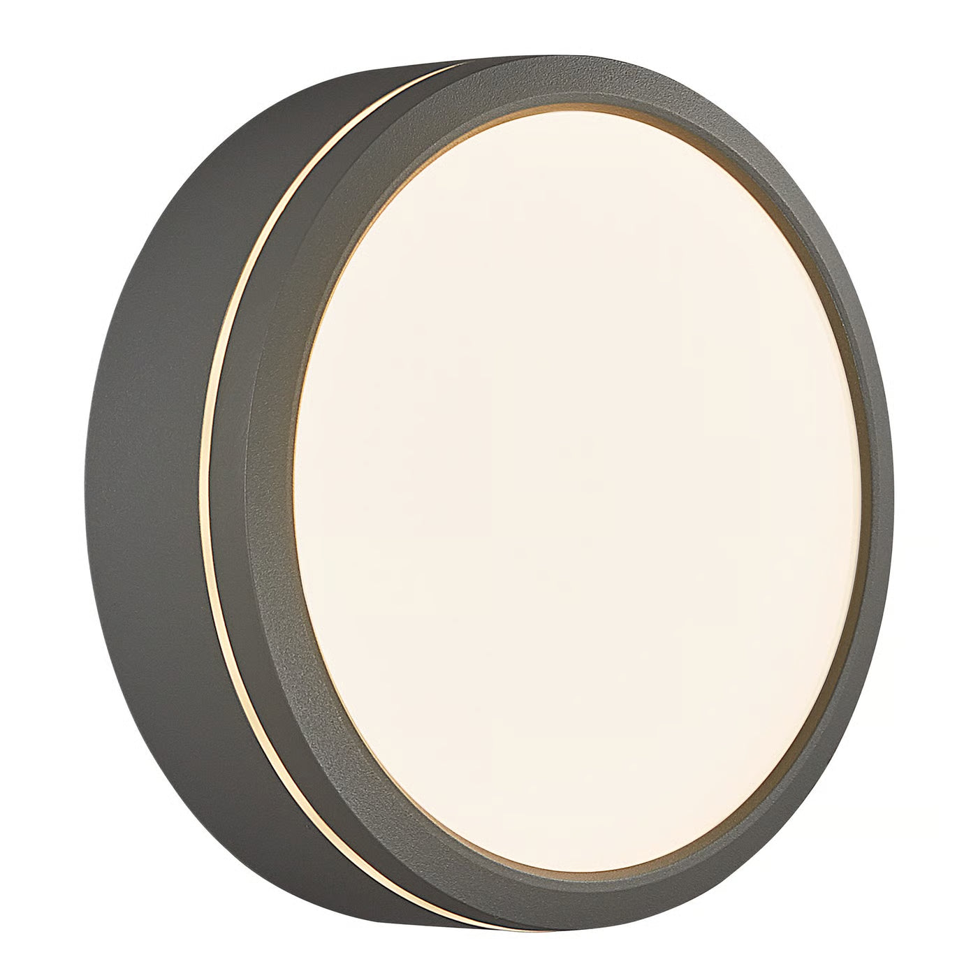 Ava Smart Ceiling/ Wall light- Black/ Grey Finish
