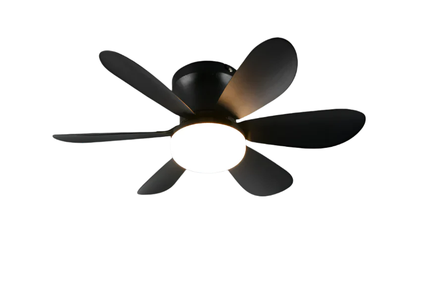 Indoor Ceiling Fans