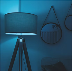 E27 Smart Bulb
