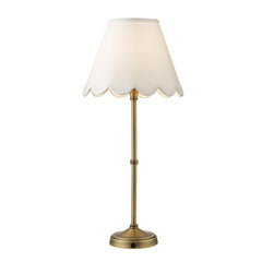 Dahl Rechargeable Table Lamp Matt Antique Brass/Polished Nickel With Shade Integrated LED