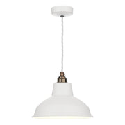 Dexter Single pendant bespoke colour