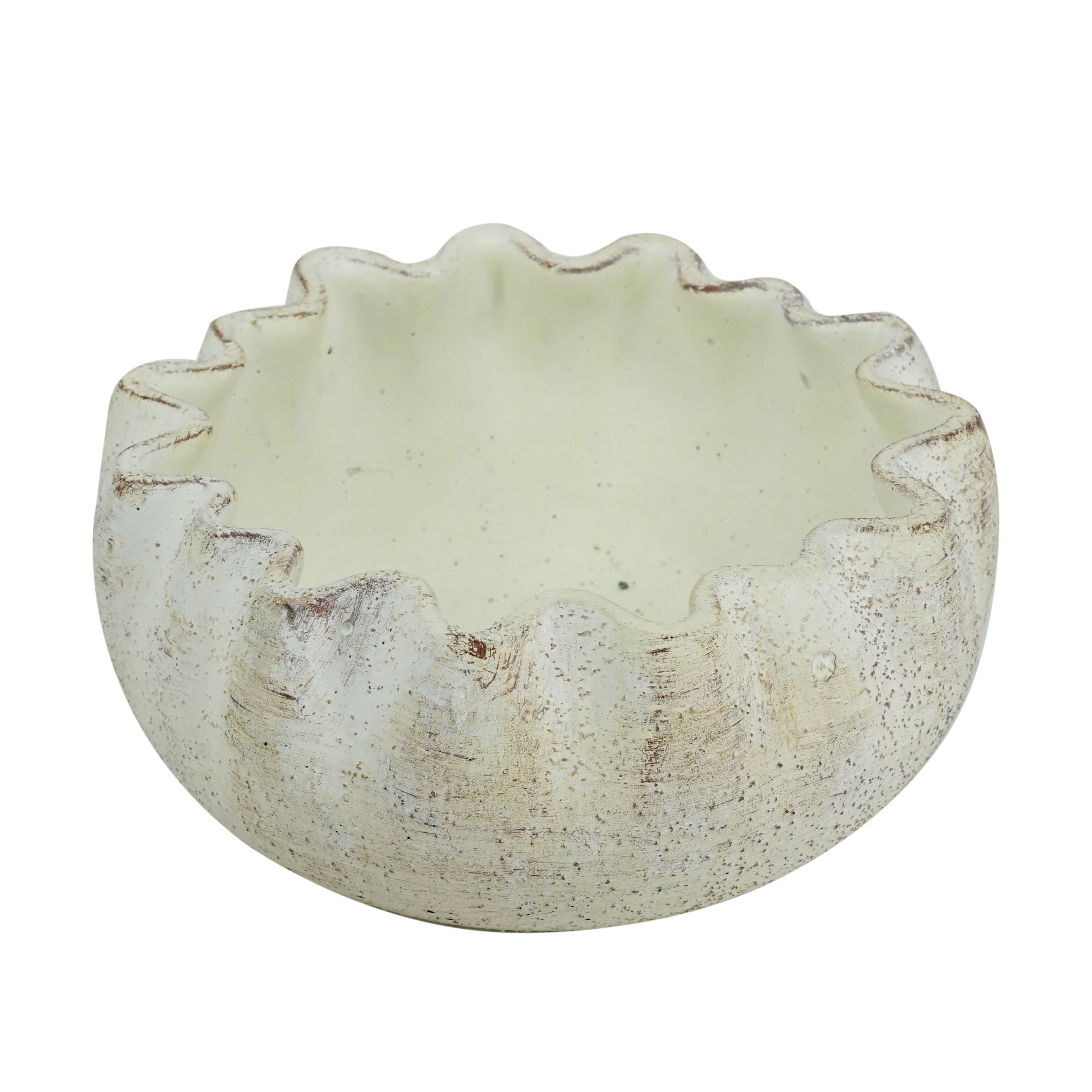 Solene Bowl/Planter