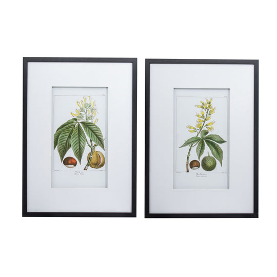Botanical Wall Art 2 Set/2