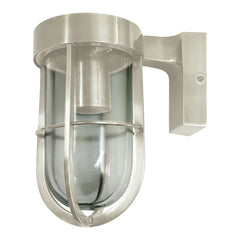 Dursey Outdoor Wall Light - Satin Nickel / Antique Brass