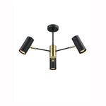 Spectre 3/5Lt Flush Light -  Black & Gold Finish