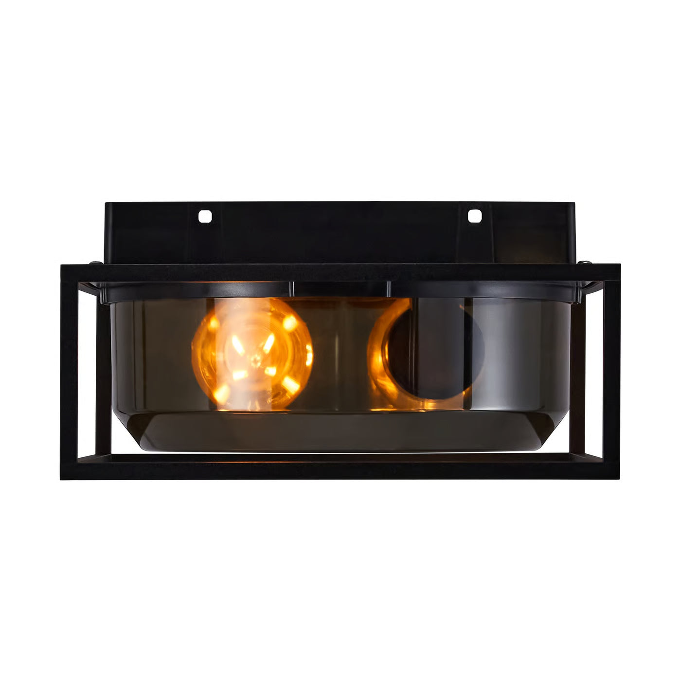 Griffin Ceiling Light- Smoked Finish