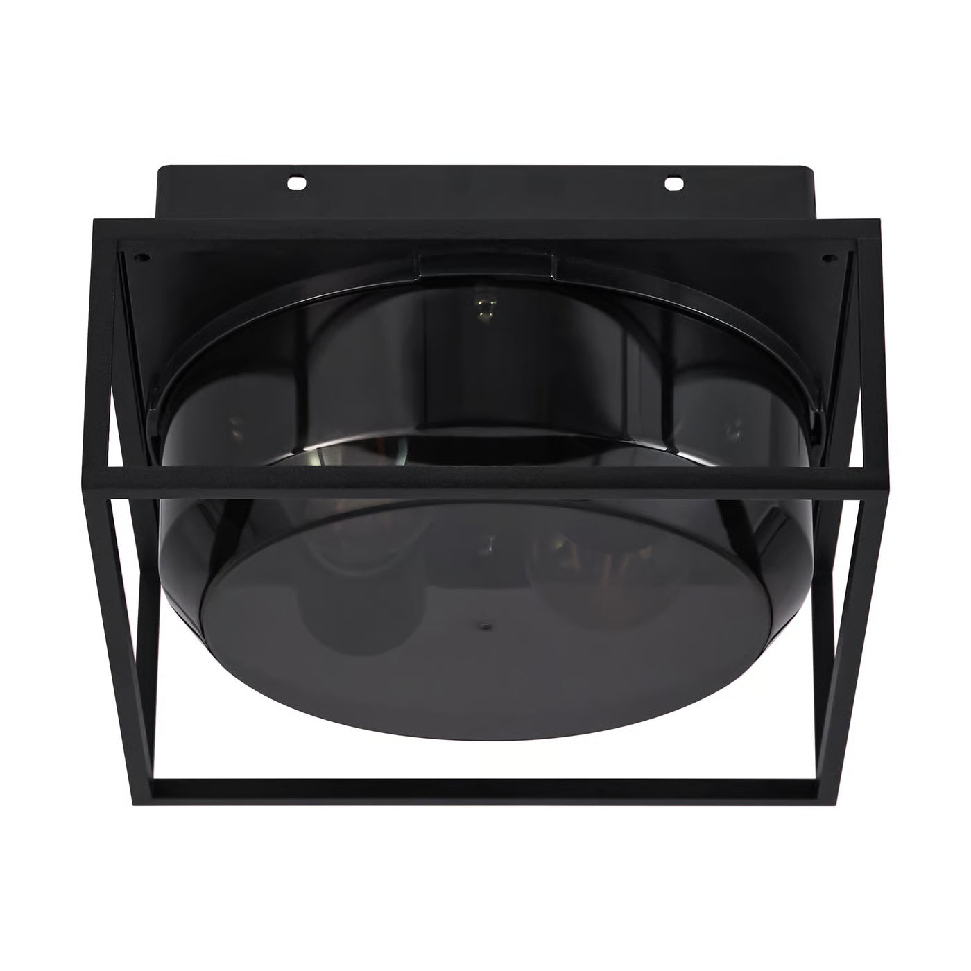 Griffin Ceiling Light- Smoked Finish