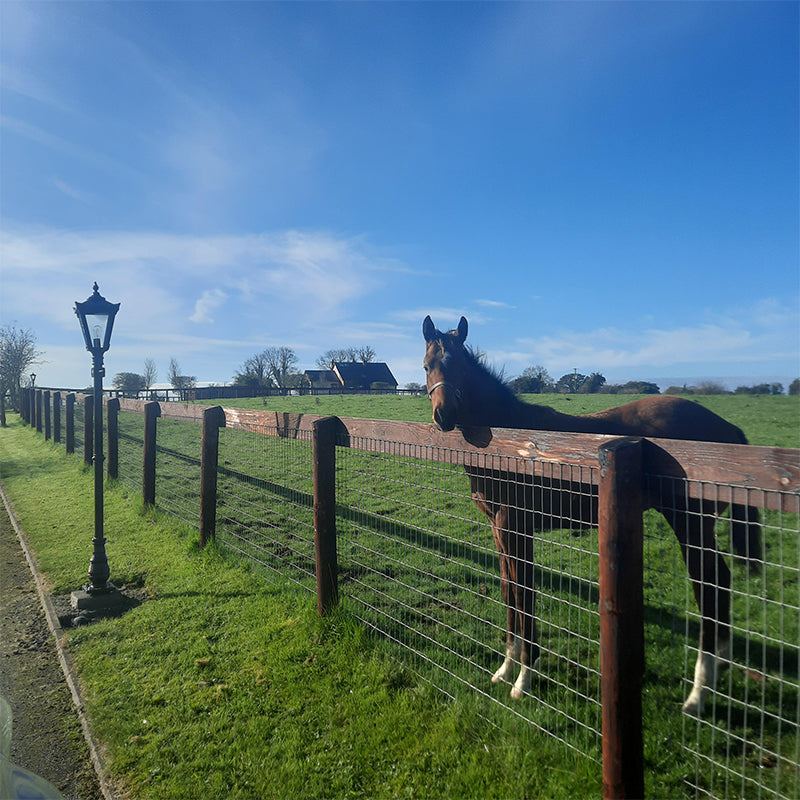 Gafney 2.3m Lamp Post - Cast Iron
