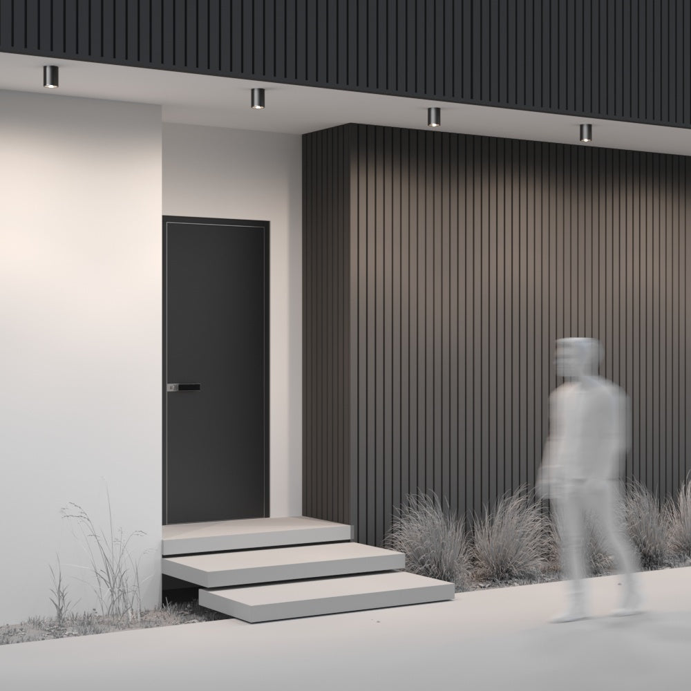 Bar Outdoor Ceiling Spotlight- Graphite Finish