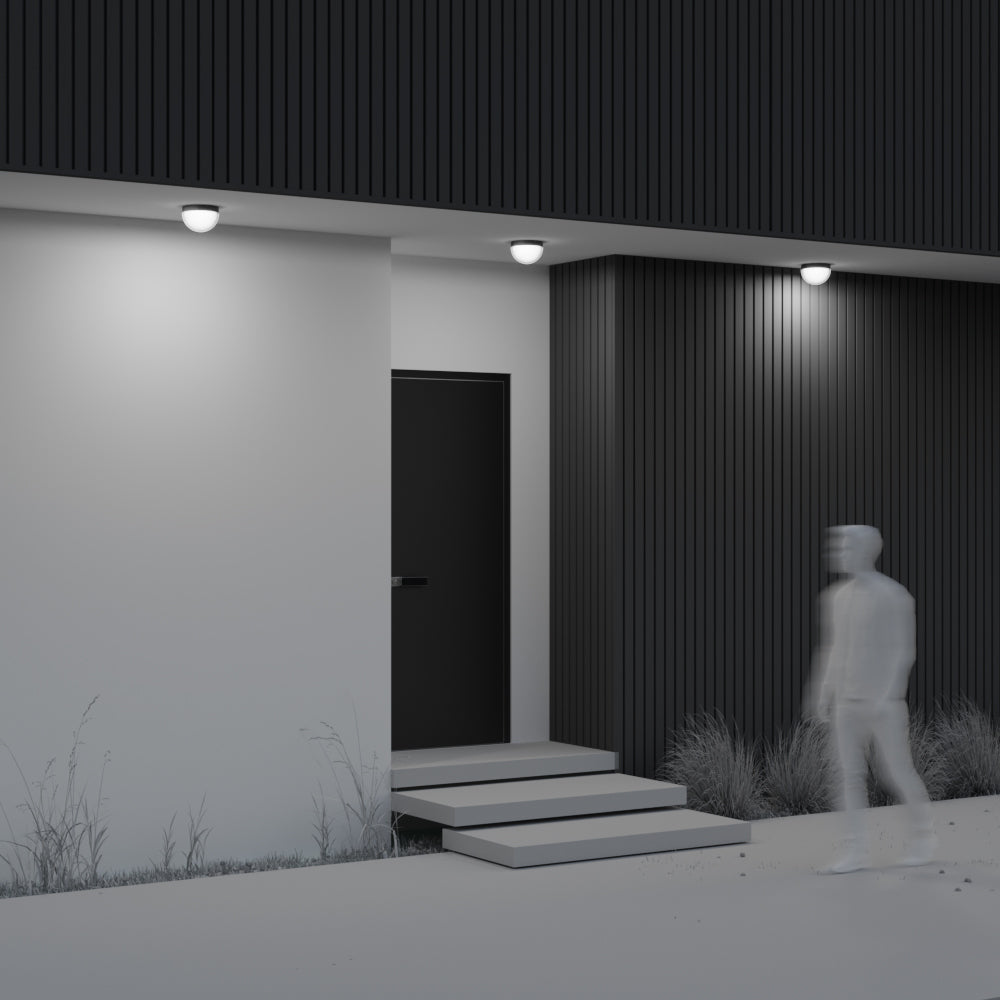 Mon Outdoor Ceiling Light