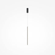 Halo Pendant Light- Black/ Brass