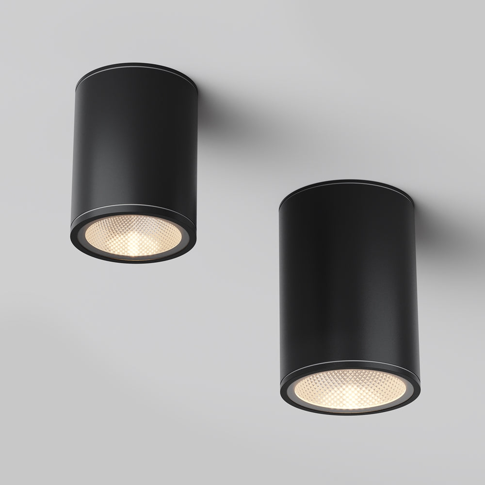Bar Outdoor Ceiling Spotlight- Graphite Finish