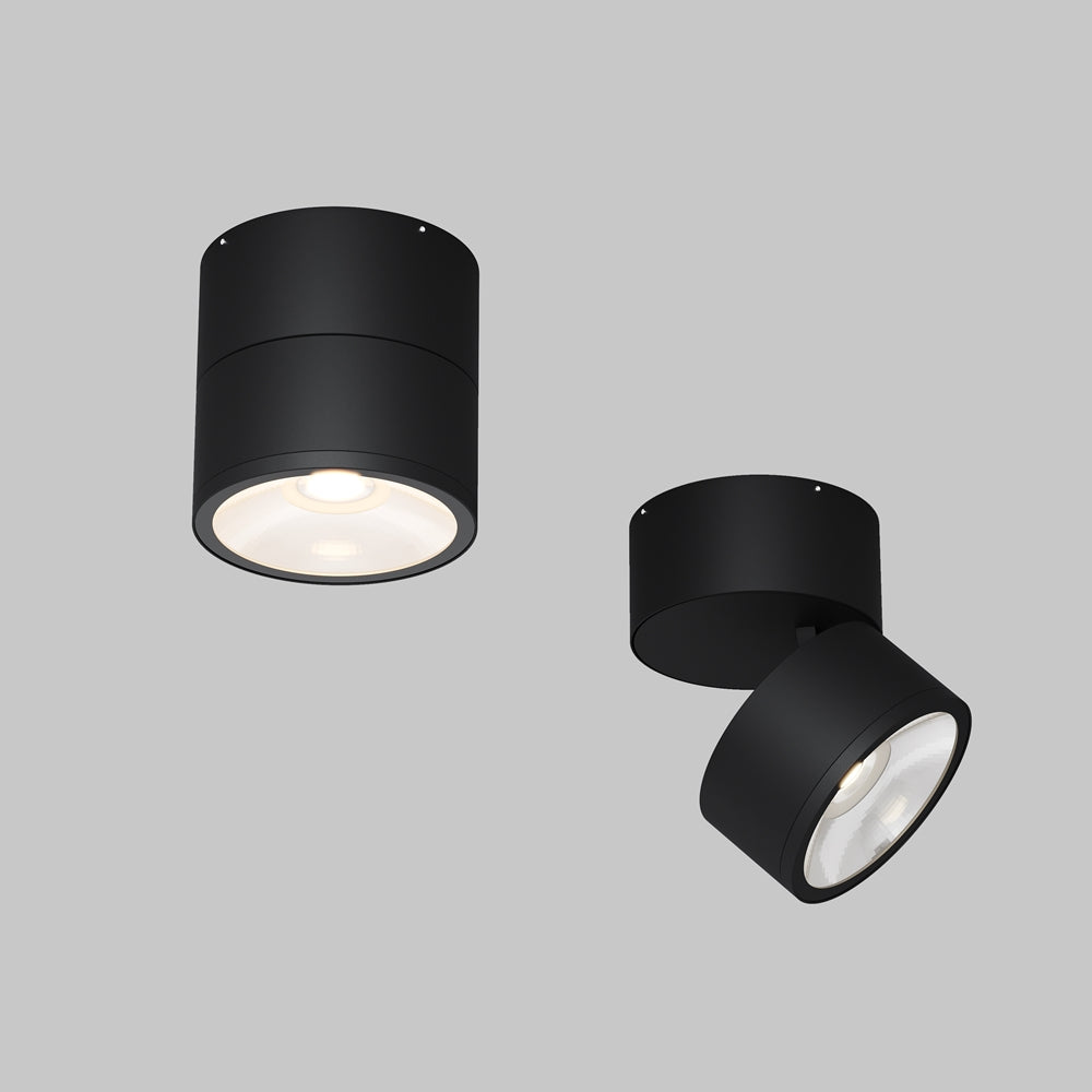 Spin Outdoor Ceiling Spotlight