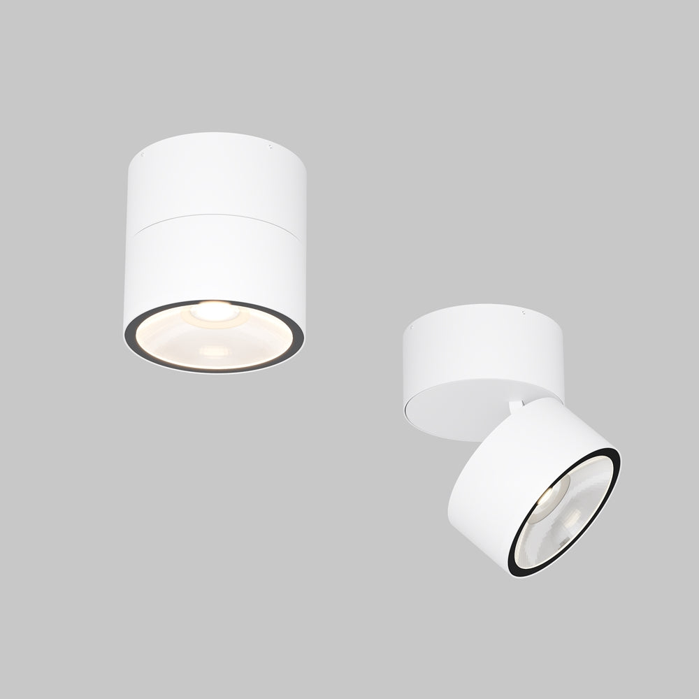 Spin Outdoor Ceiling Spotlight