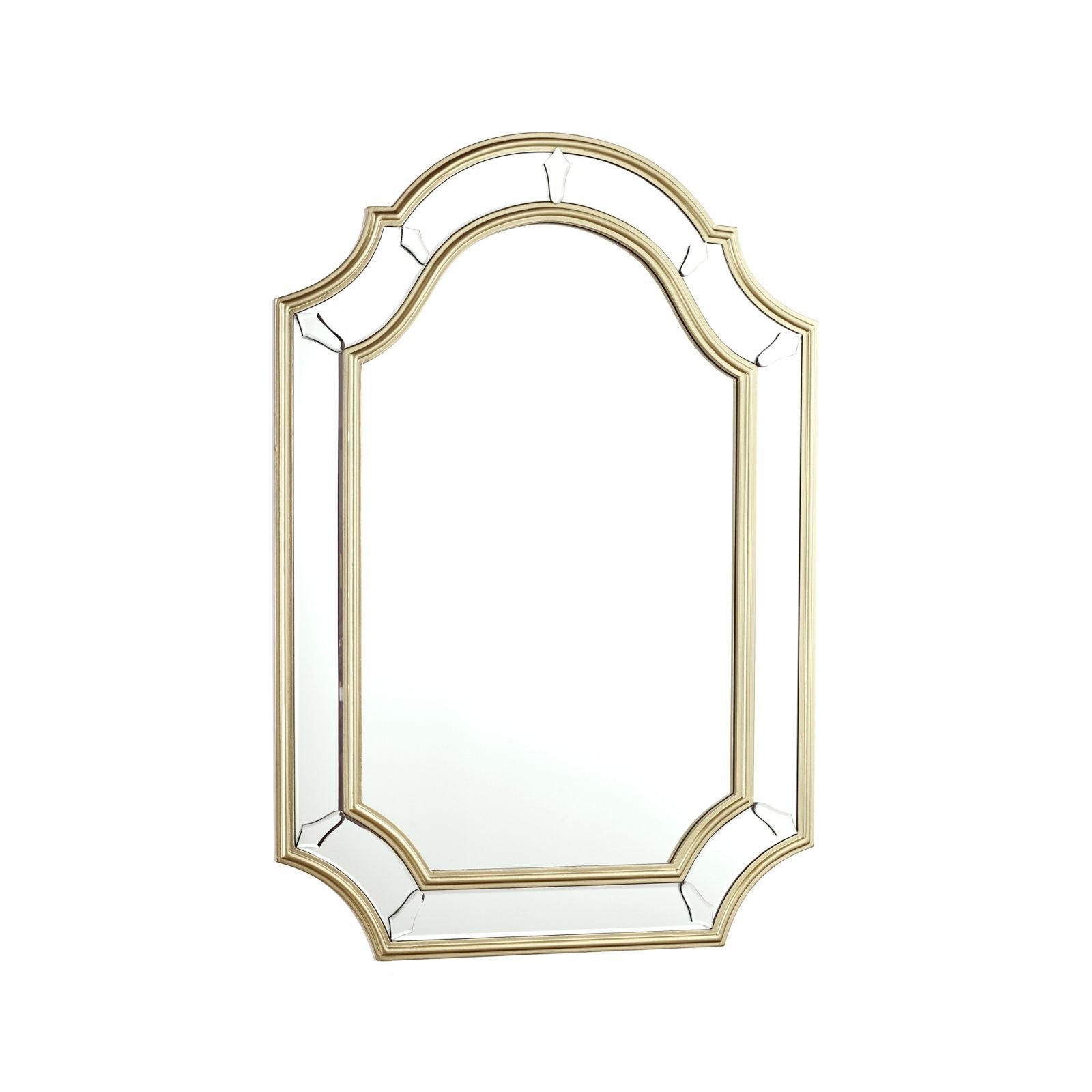 Braxton Rectangle Mirror With Champagne Edging 102 x 71cm