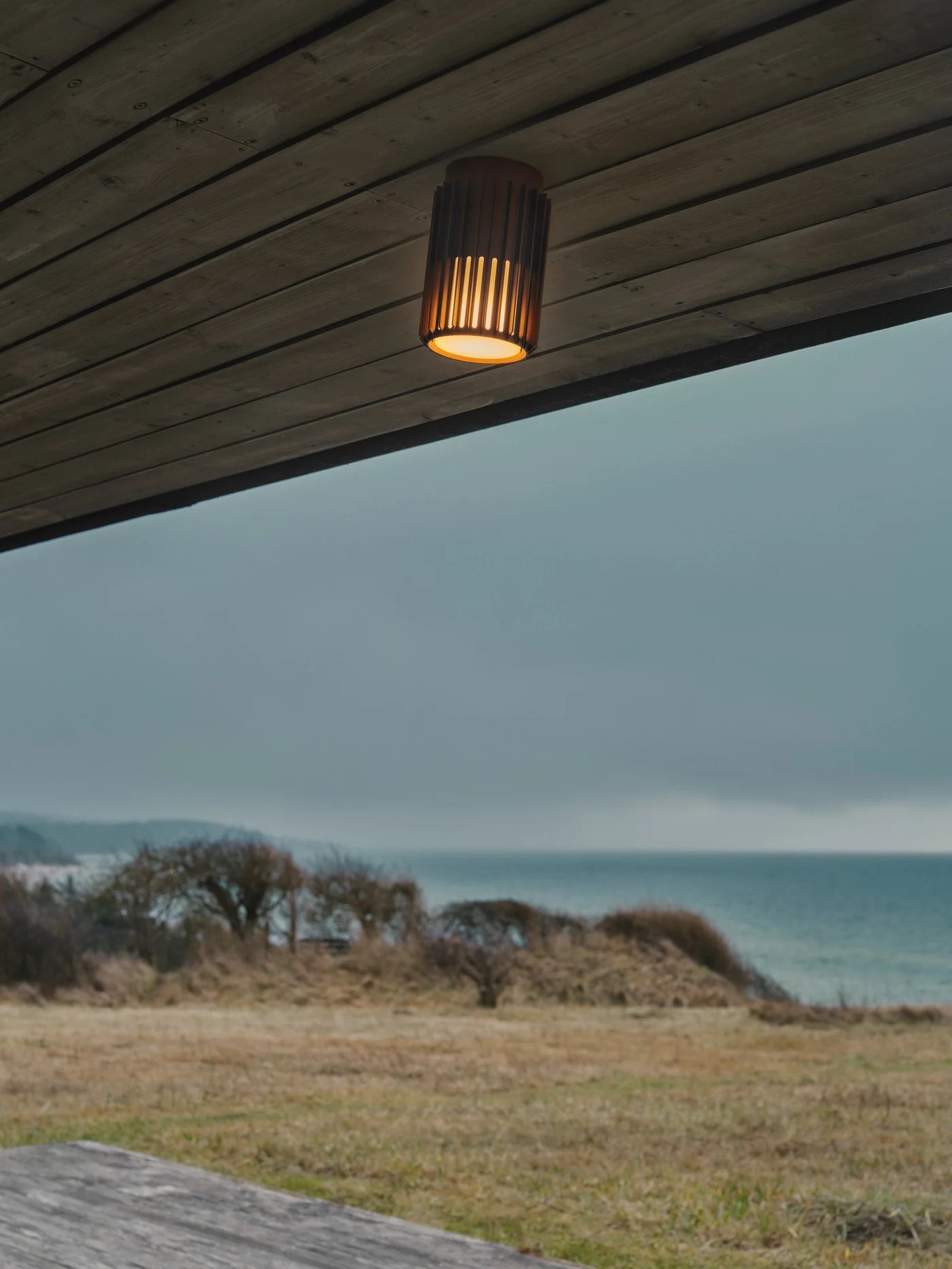 Aludra Ceiling light Seaside- Anthracite/ Brown/ Black Finish