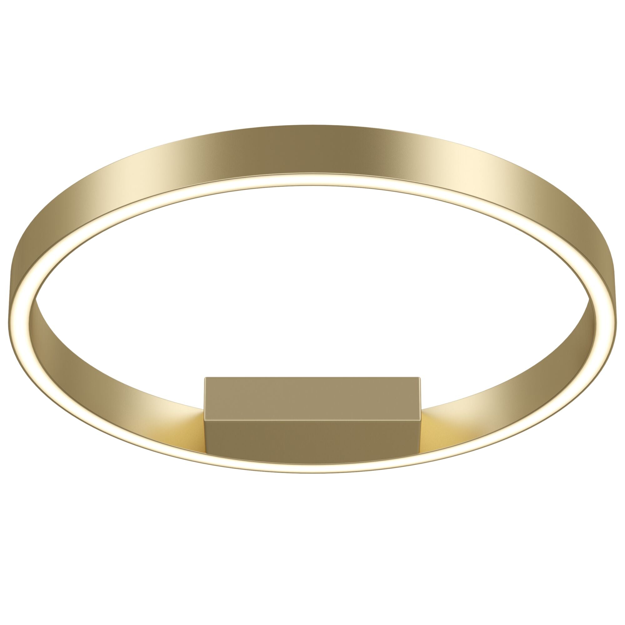 Rim LED Flush Ceiling Light - Brass/Black Finish