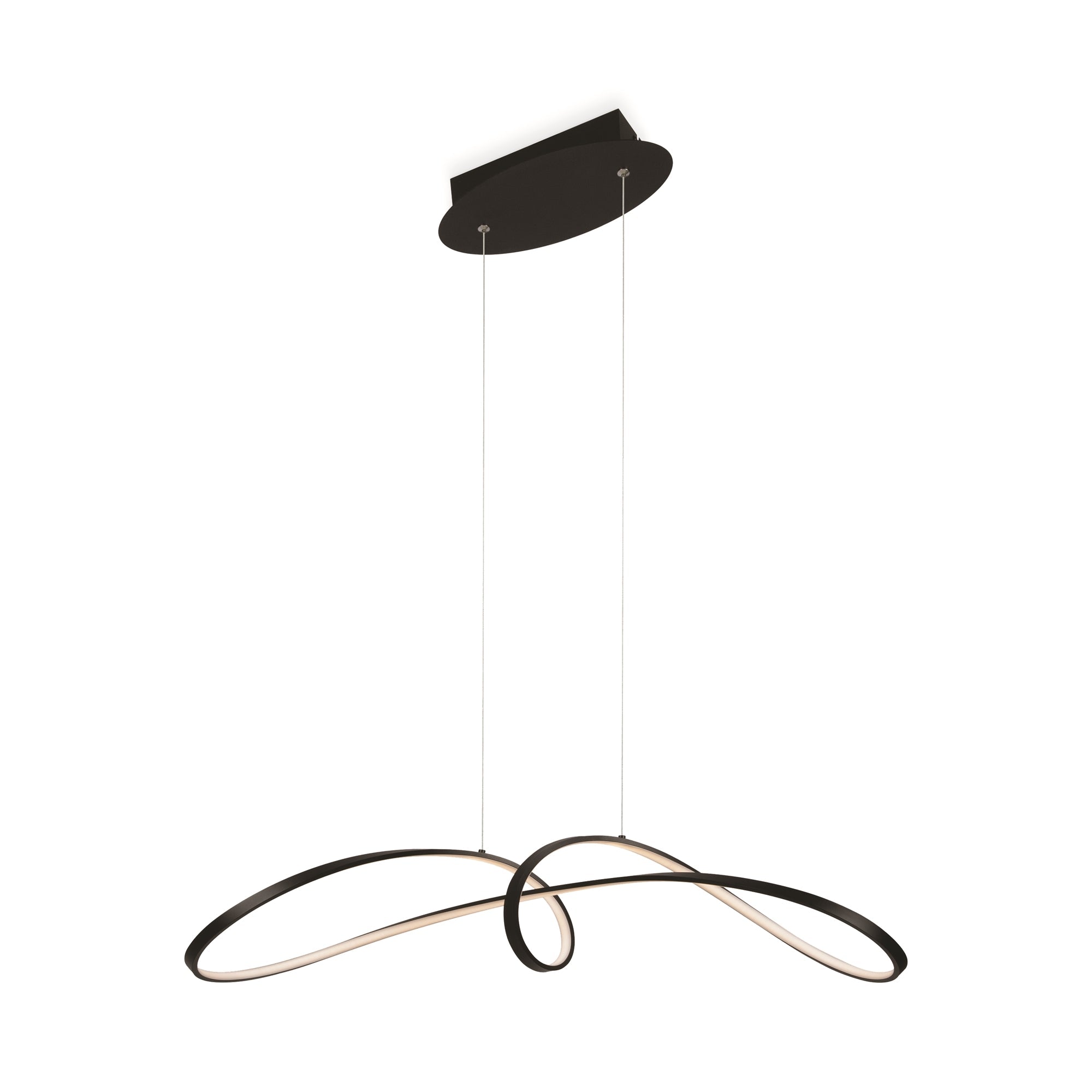 Curve LED Hanging Ceiling Light