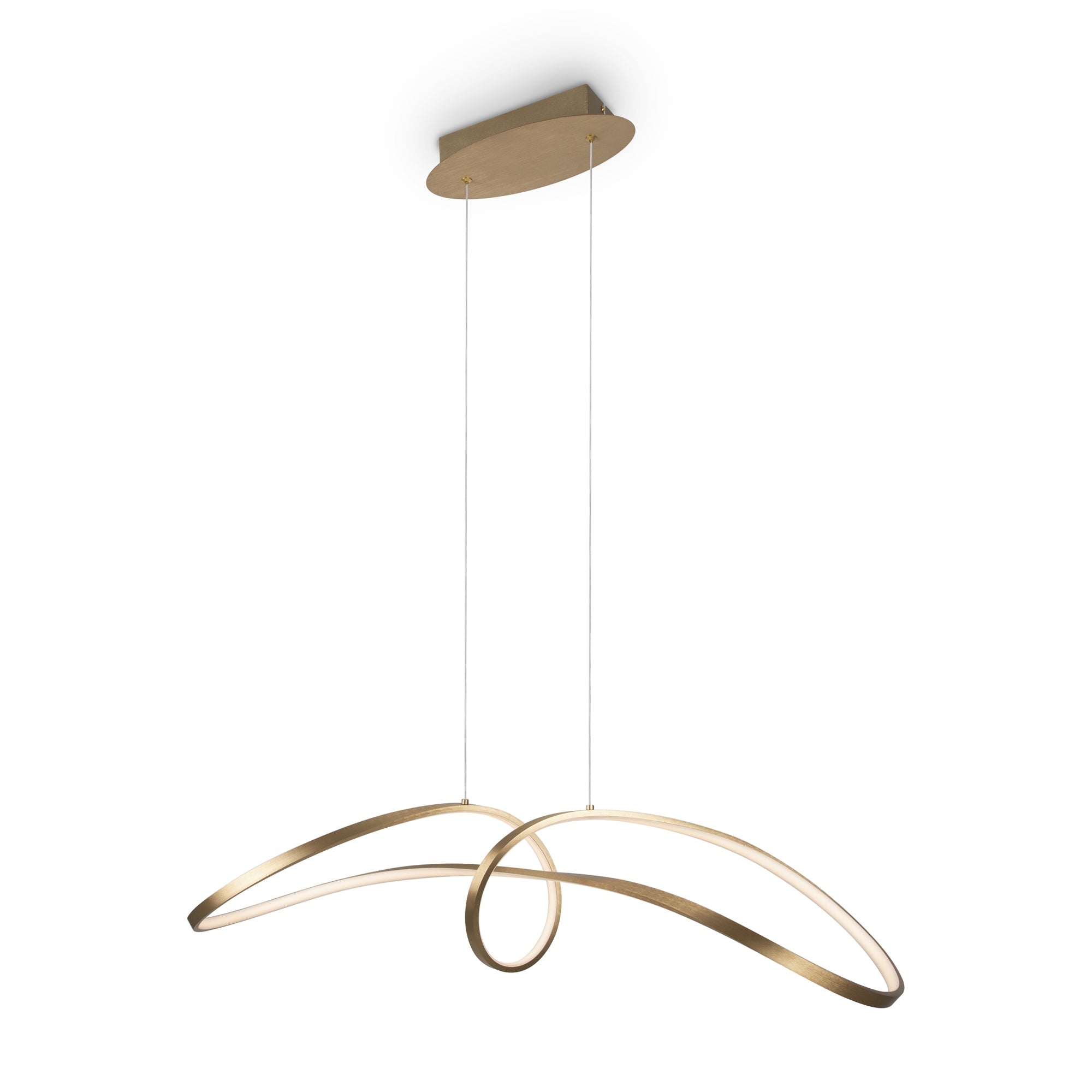 Curve LED Hanging Ceiling Light