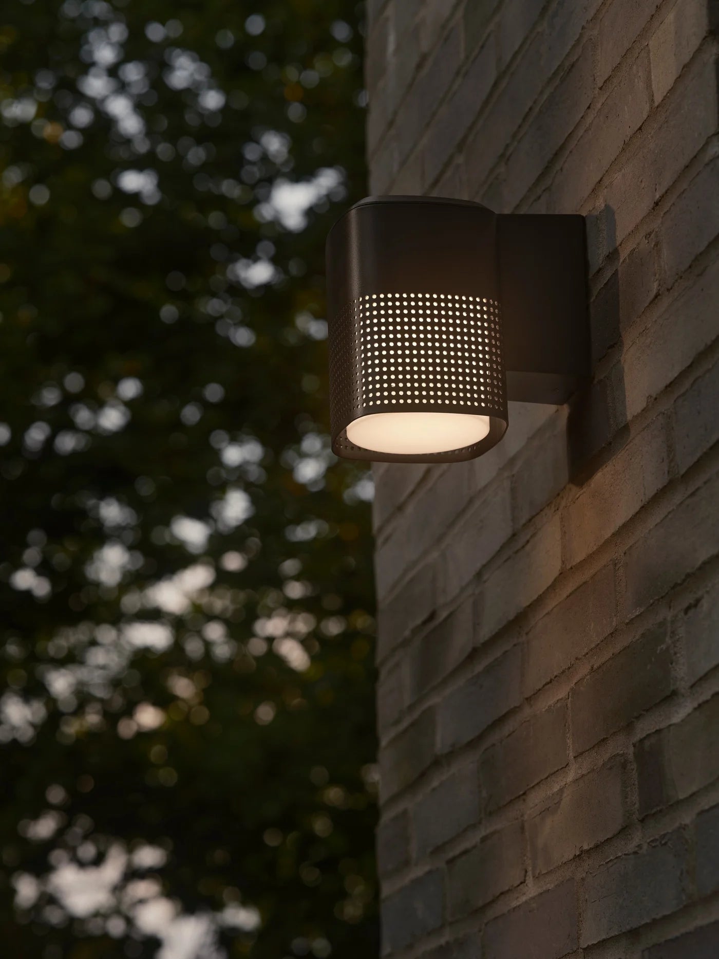 Sidara Outdoor Wall Light- Brown/ Anthracite/Black Finish