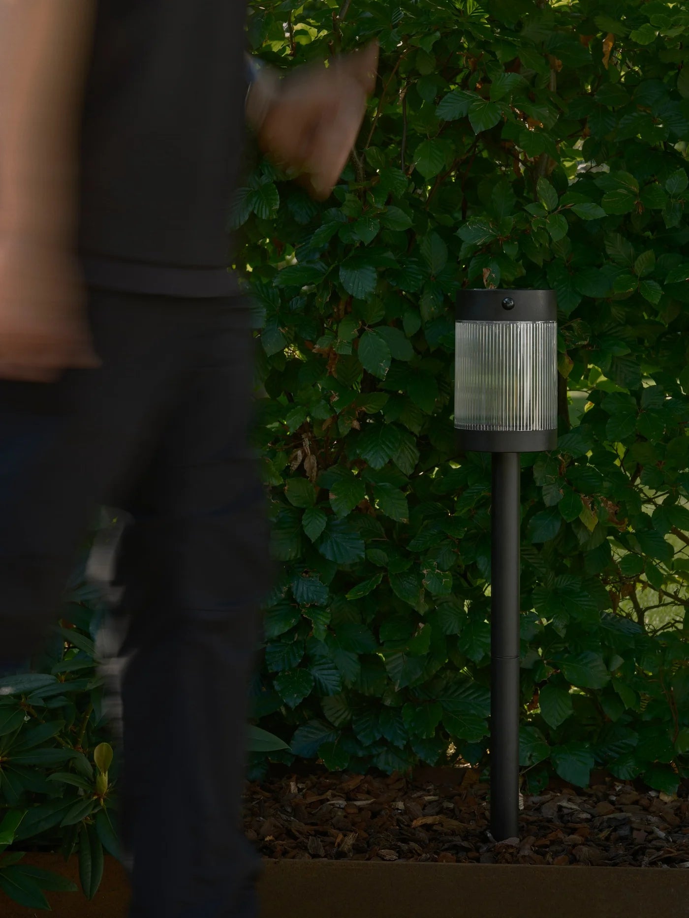 Coupar Solar Garden light